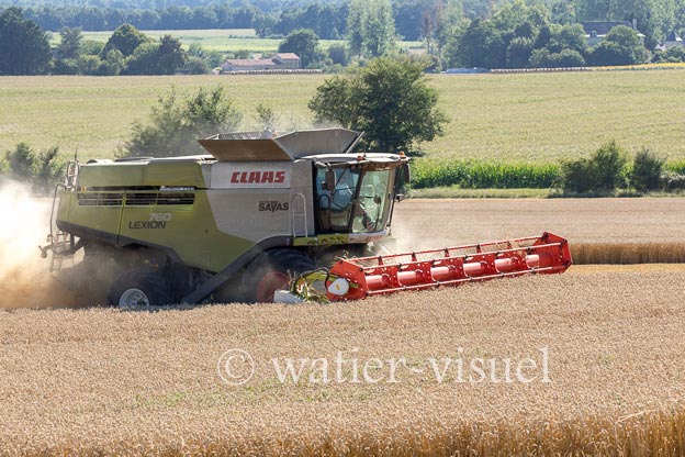 1192D778