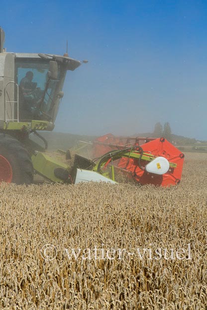 1192D810