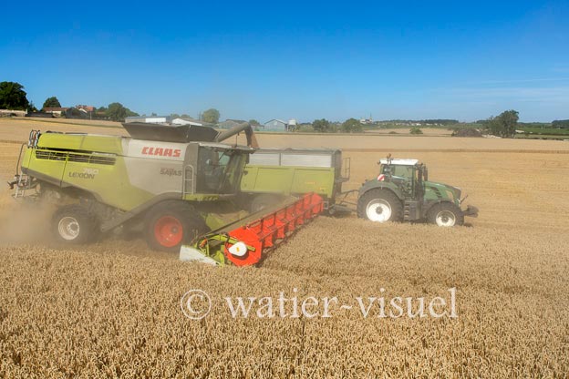 1192D850