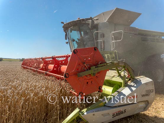 1192D890