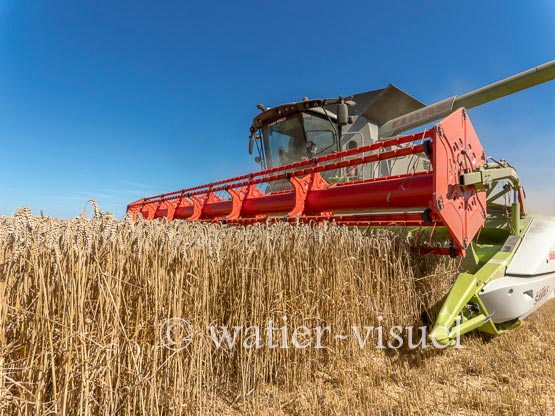 1192D900