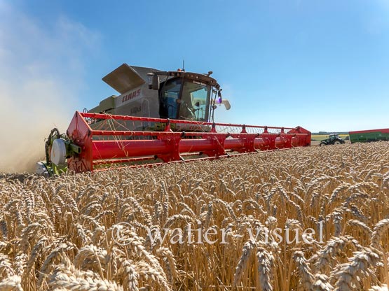 1192D905