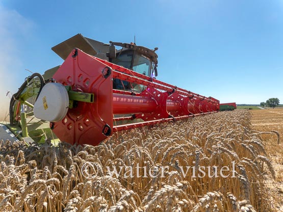 1192D907