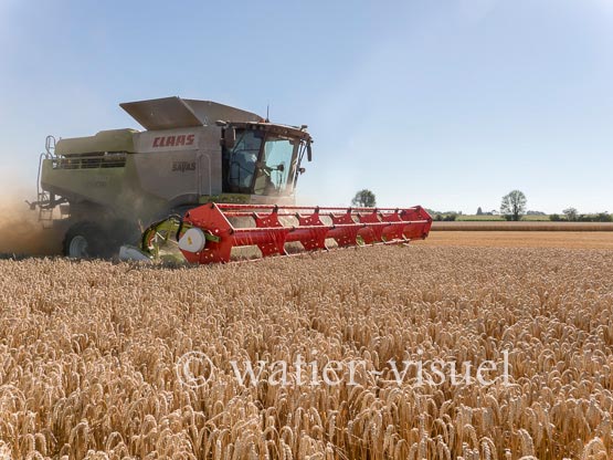 1192D908
