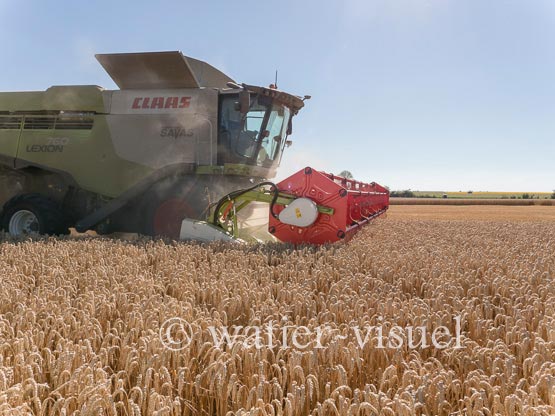 1192D909