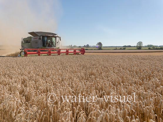 1192D910