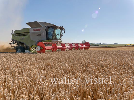 1192D911