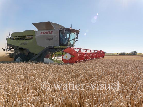 1192D912
