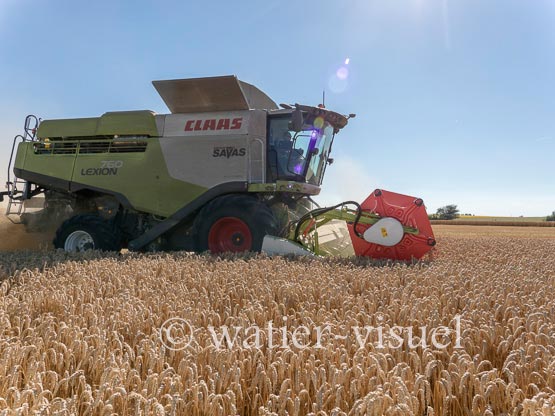 1192D913