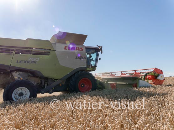 1192D917
