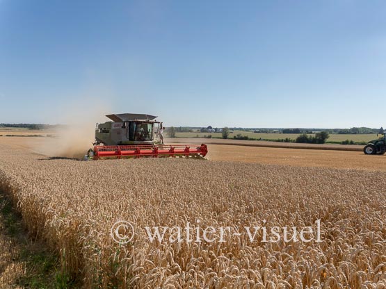 1192D918