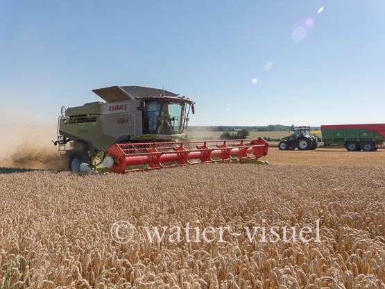 1192D919