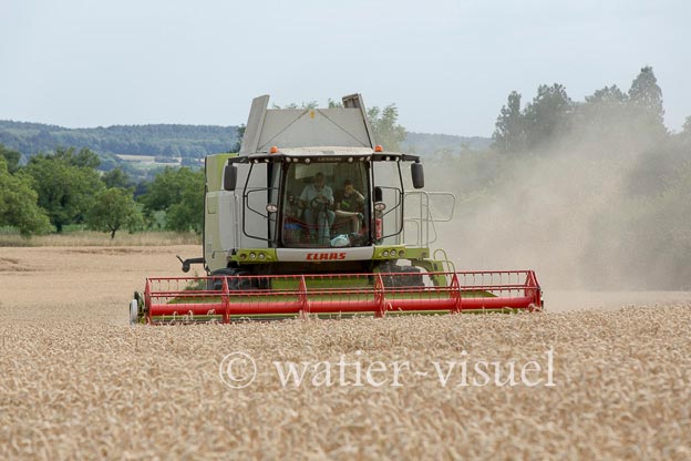 1193D621