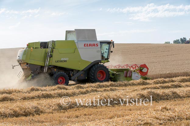 1193D631