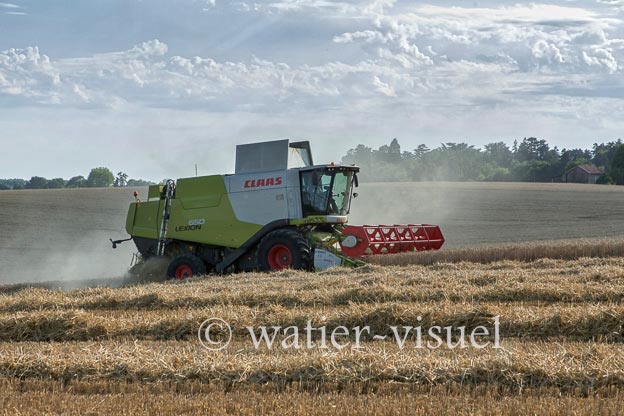 1193D645