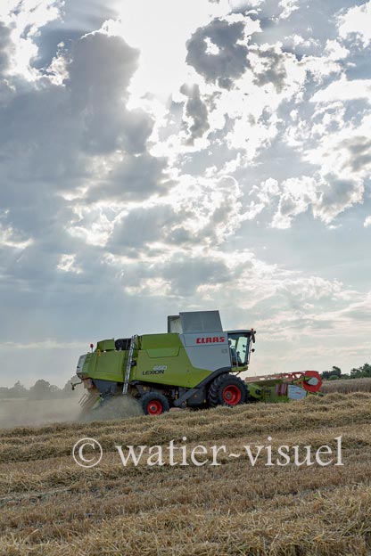 1193D655