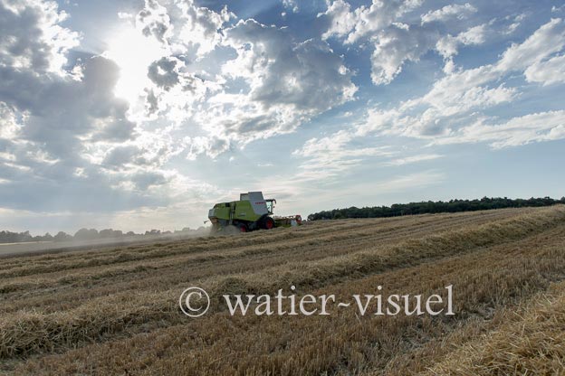 1193D658