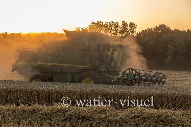 1193D950
