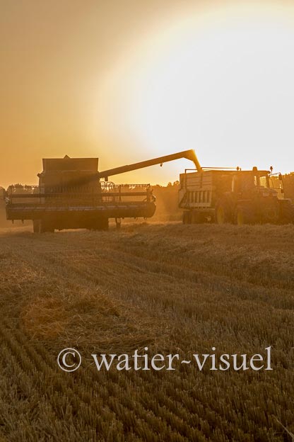 1193D960