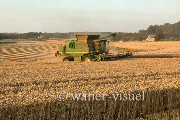 1193D970
