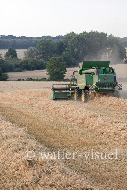 1193D980