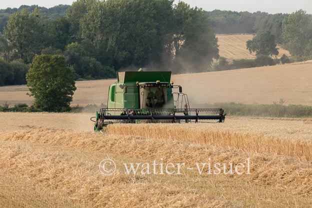 1193D990