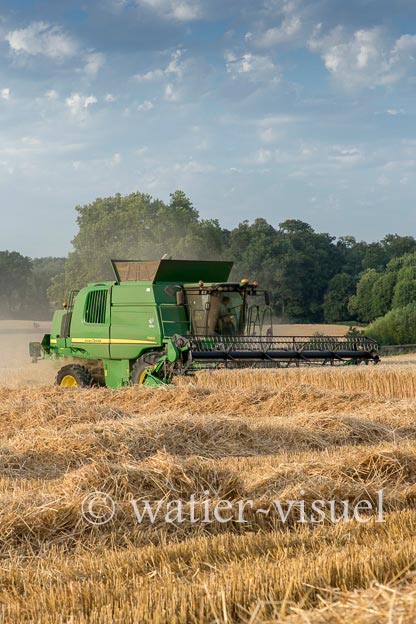 1194D019