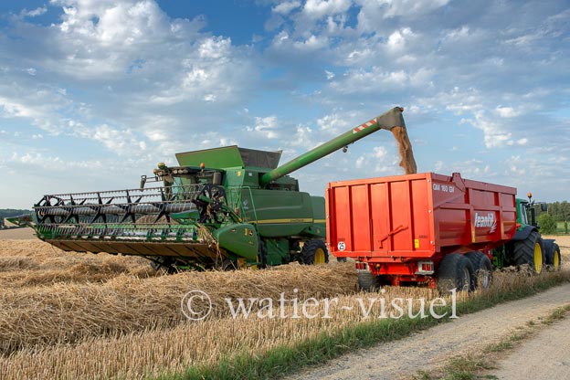 1194D026