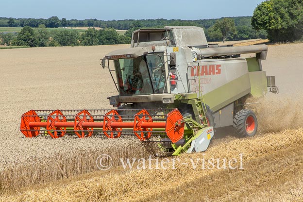 1194D592