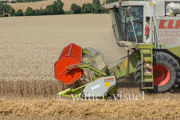 1194D593