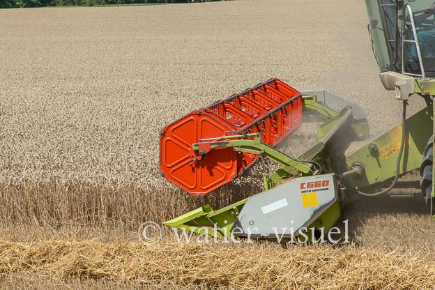 1194D594