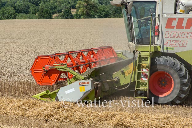 1194D595