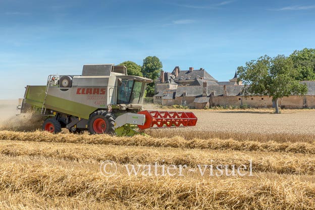 1194D596