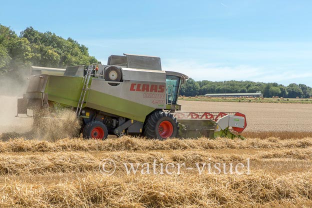 1194D599