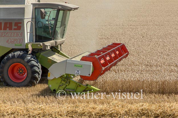 1194D603