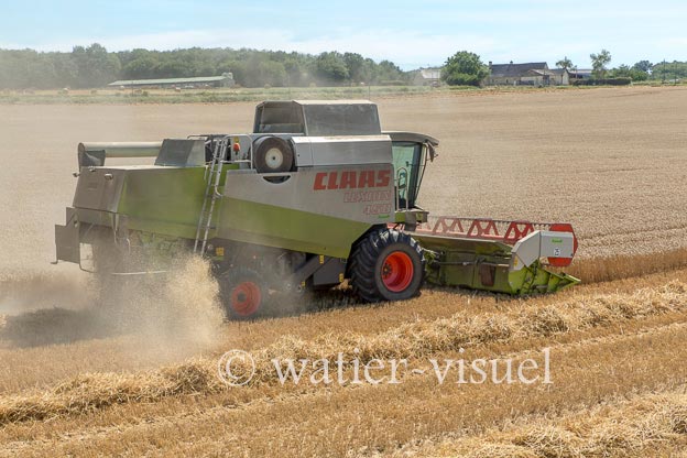 1194D606