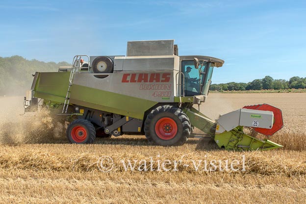 1194D610