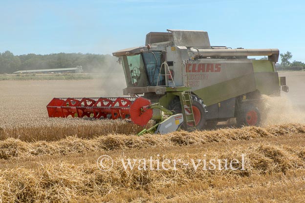 1194D612