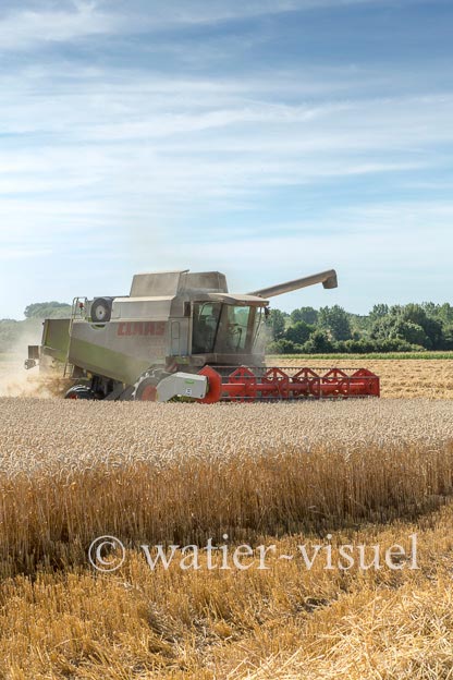 1194D615
