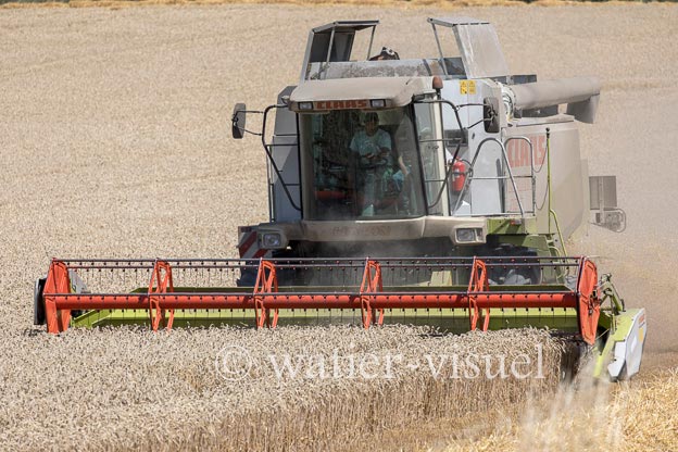 1194D618