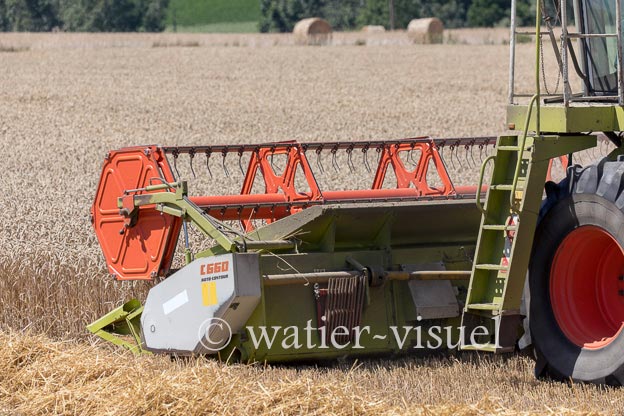 1194D620