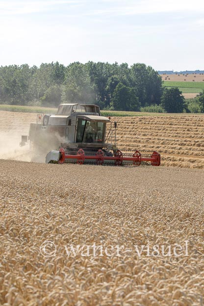 1194D623