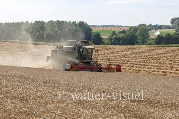 1194D624