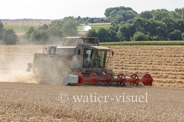1194D625