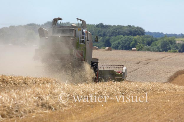 1194D627