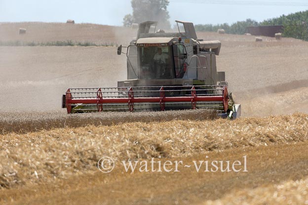 1194D630