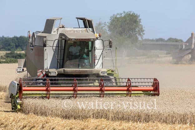 1194D637