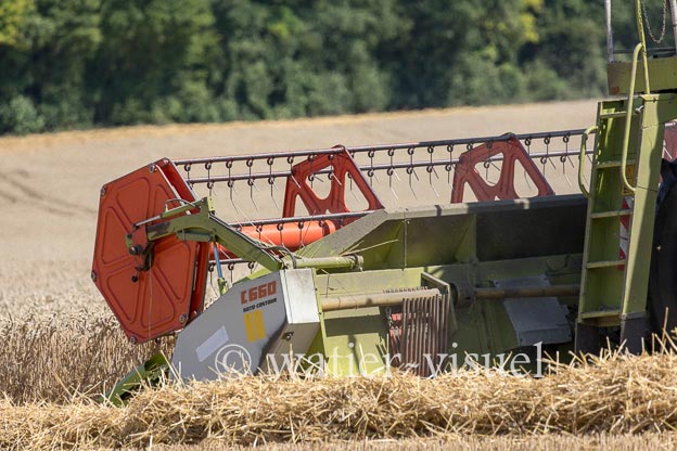 1194D645