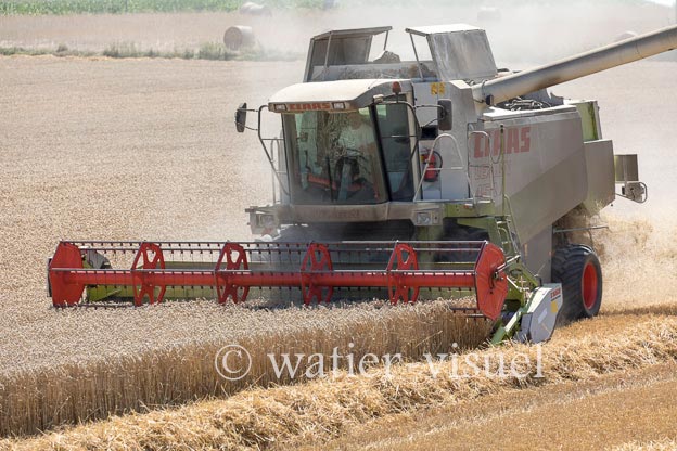 1194D650