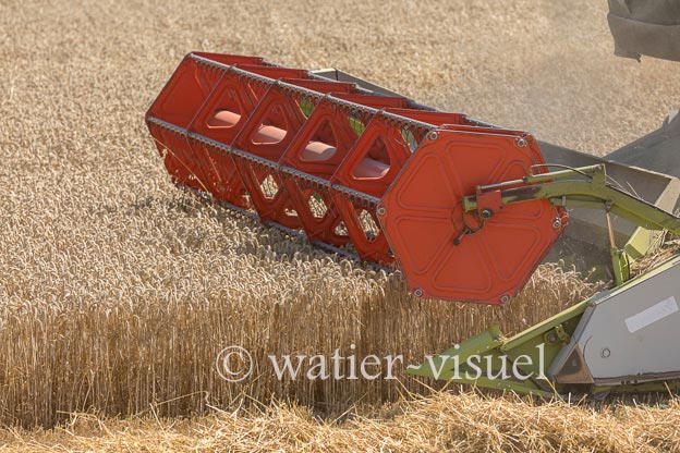 1194D652